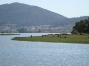 Playa fluvial del Tamuxe y el Miño